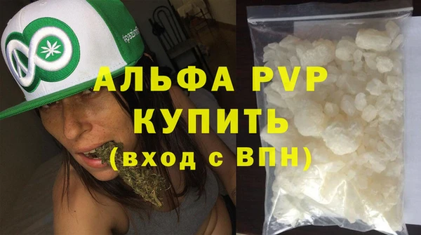 PSILOCYBIN Рославль