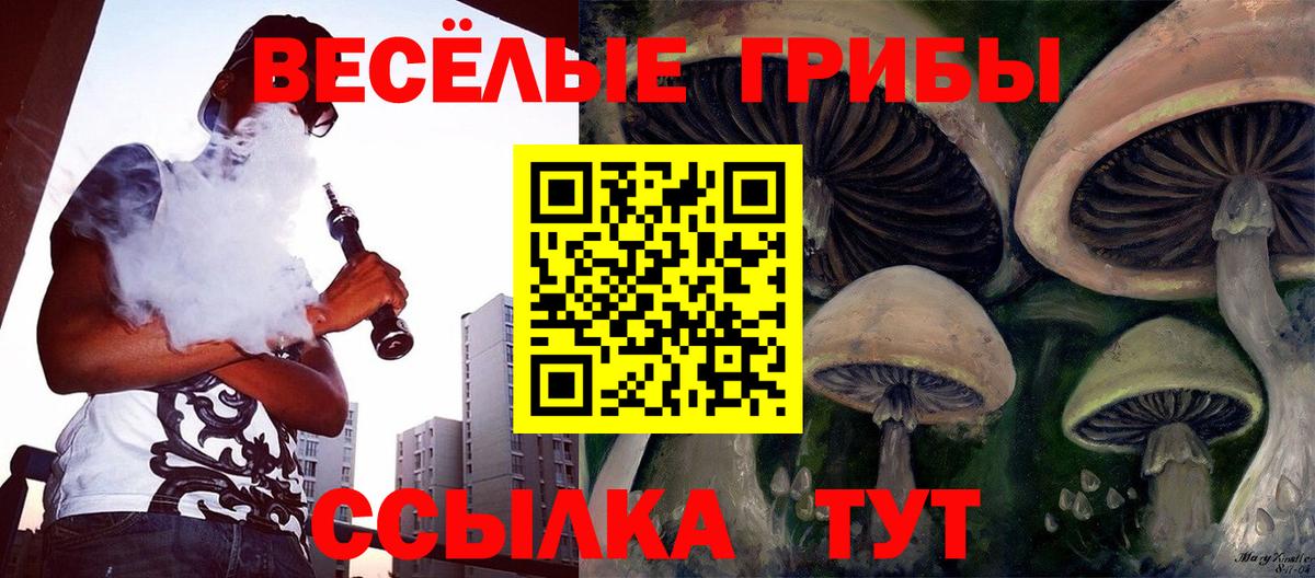 Псилоцибиновые грибы Psilocybine cubensis Азов